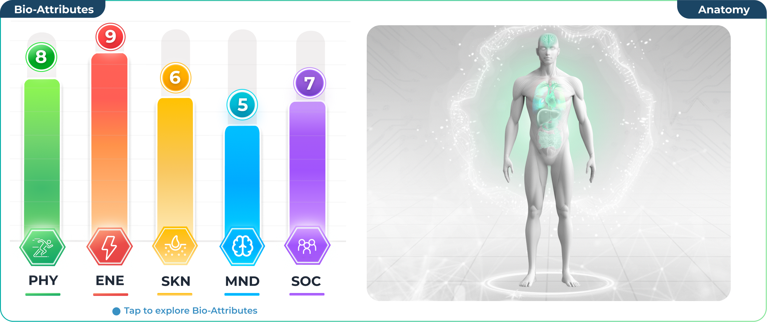Bio-Profile dashboard — Bio-Attributes scoreboard with anatomy view