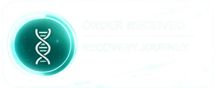 Order received — recovery journey notification
