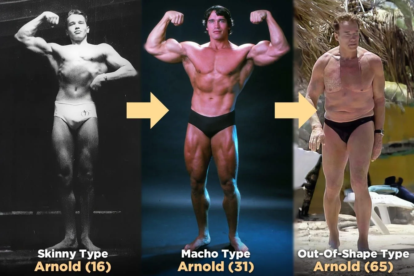 Arnold Schwarzenegger photographed at 16, 31 and 65, labelled skinny type, macho type and out of shape type