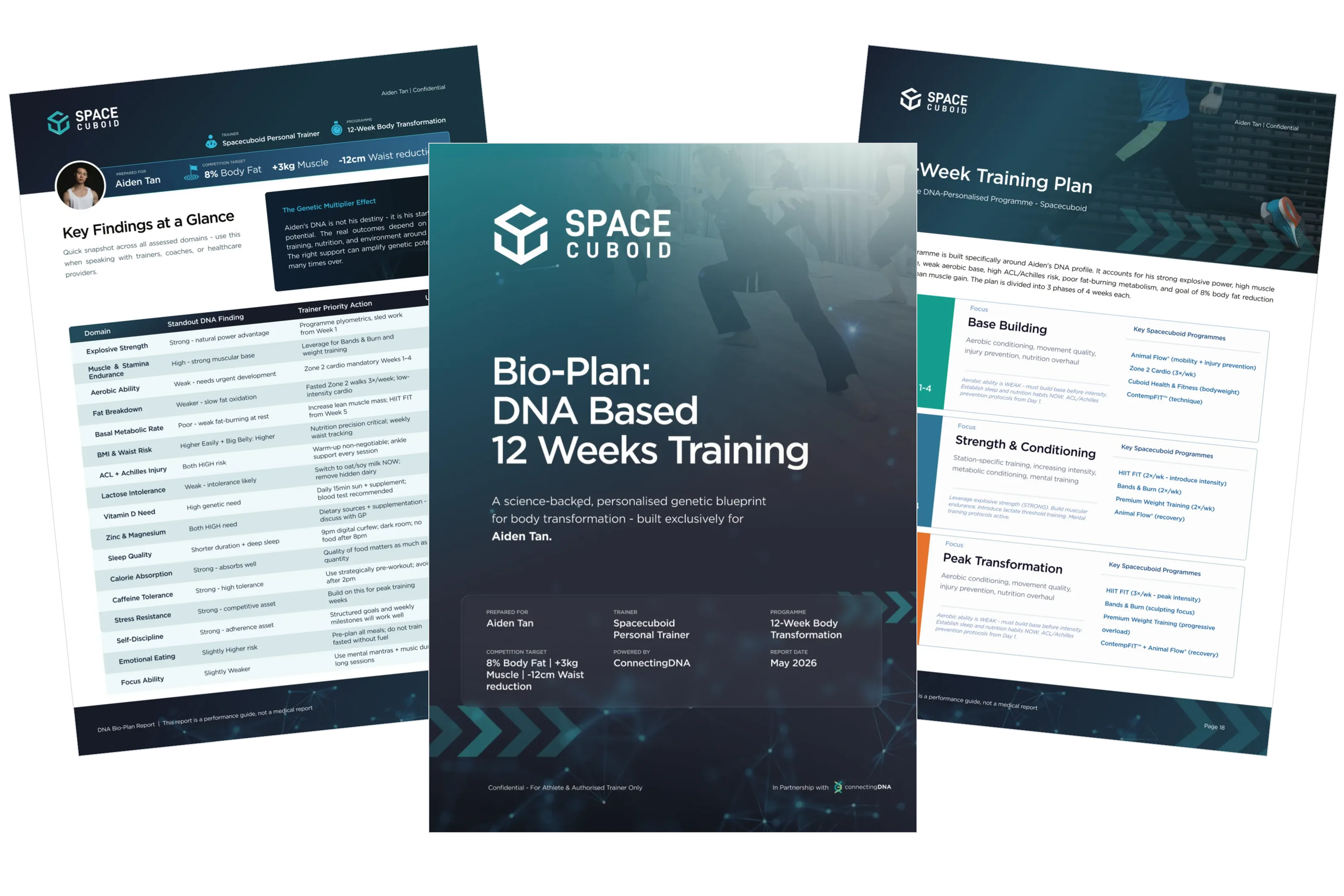 Three pages of a sample Bio-Plan fanned on a pale surface: a dark cover reading Bio-Plan, DNA Based 12 Weeks Training, a page headed Key Findings at a Glance with a table of traits, and a page headed 12-Week Training Plan with three numbered phases