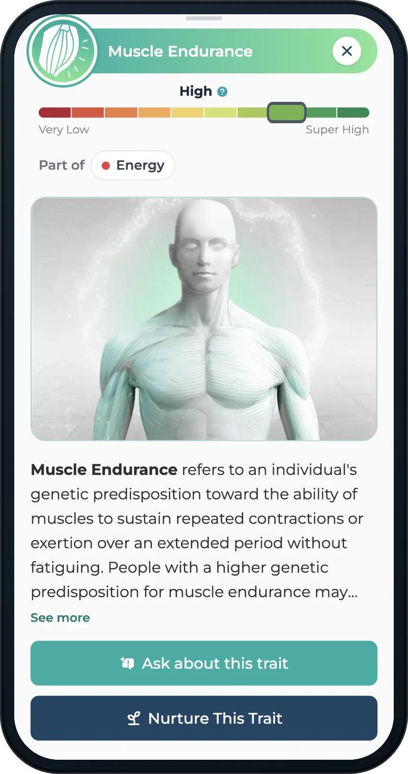 A phone showing the Muscle Endurance trait in the Bio-Profile: the trait's head with its scale from Very Low to Super High and the reading High, Part of Energy, an illustration of a muscled figure, a plain-English paragraph on what the trait means, and two buttons, Ask about this trait and Nurture This Trait