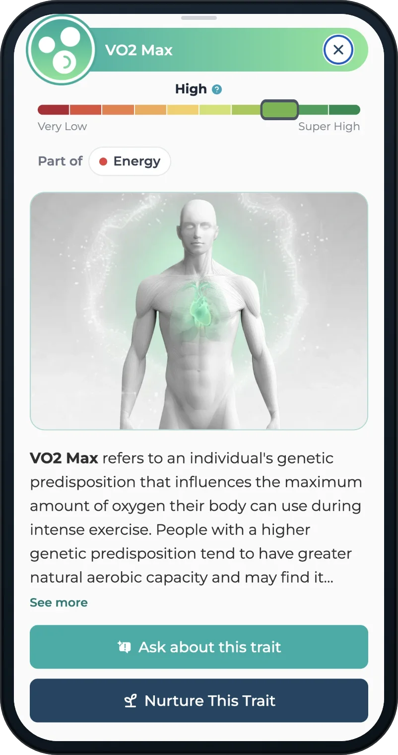 A phone showing the VO2 Max trait in the Bio-Profile: the trait's head with its scale from Very Low to Super High and the reading High, Part of Energy, an illustration of a figure with the heart lit green, a plain-English paragraph on what the trait means, and two buttons, Ask about this trait and Nurture This Trait