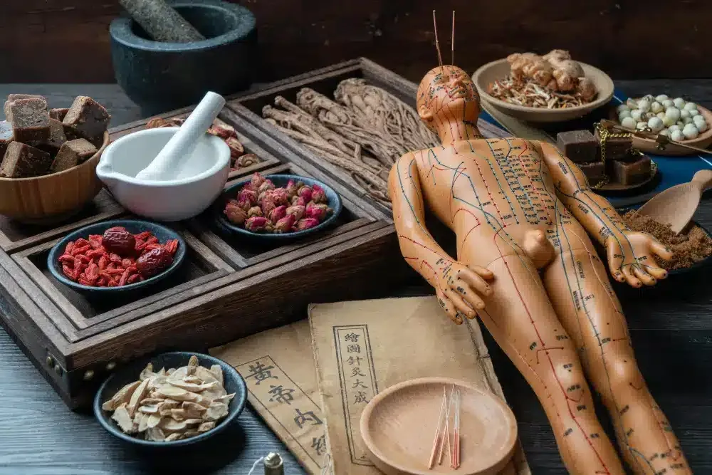 A wooden acupuncture figure among dishes of dried TCM herbs