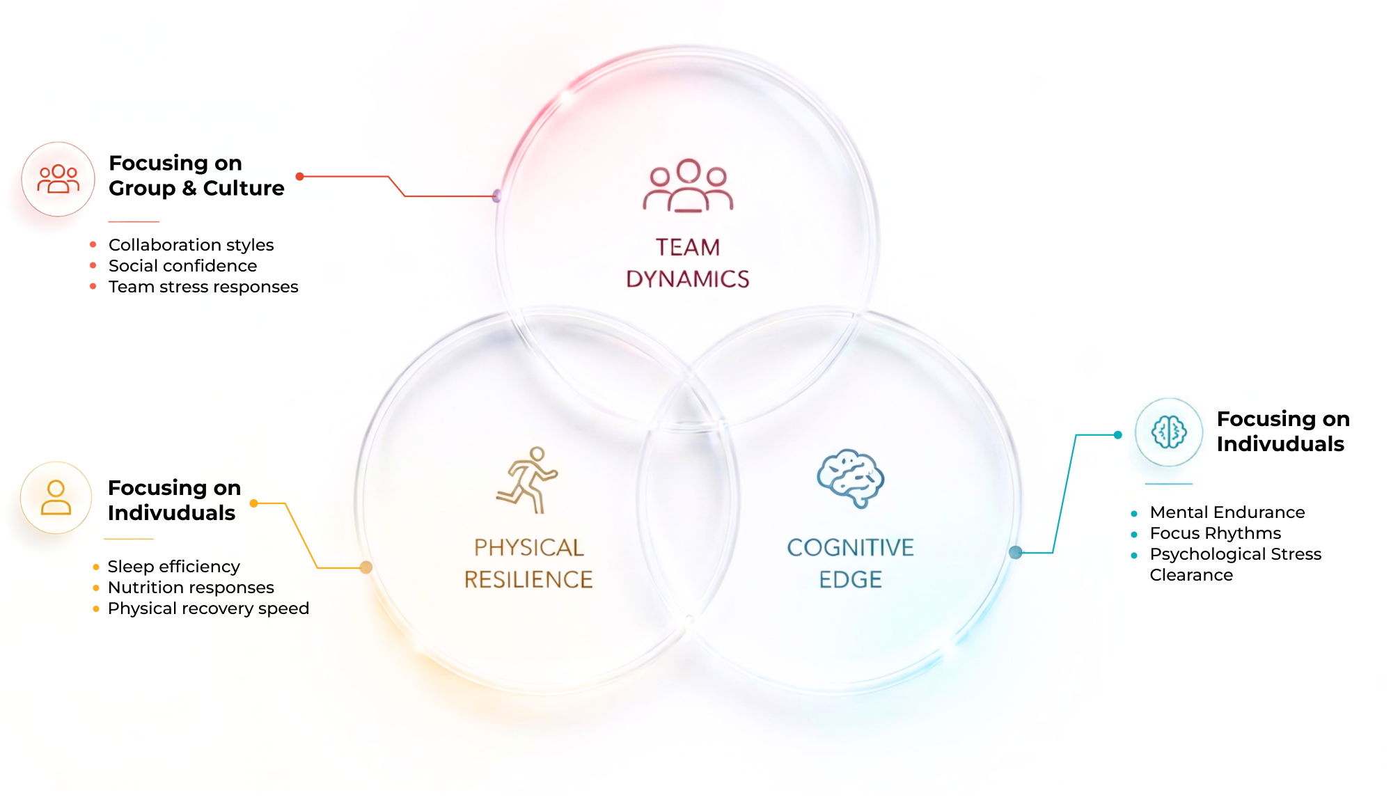 Three overlapping biological dimensions — Team Dynamics (collaboration styles, social confidence, team stress responses), Physical Resilience (sleep efficiency, nutrition responses, physical recovery speed), and Cognitive Edge (mental endurance, focus rhythms, psychological stress clearance).